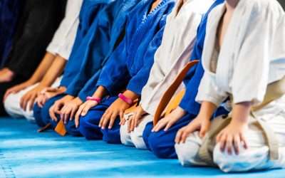 Martial Arts Classes Topsey